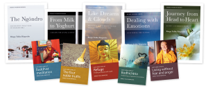 Link to Bodhicharya Publications